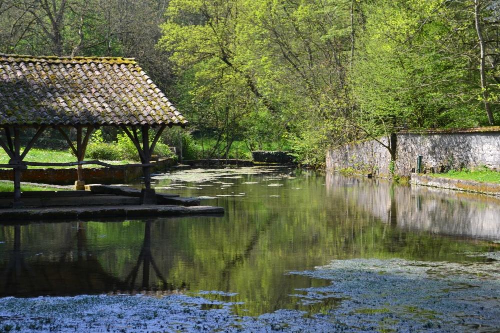La Barbette Sompt lavoir nature eau